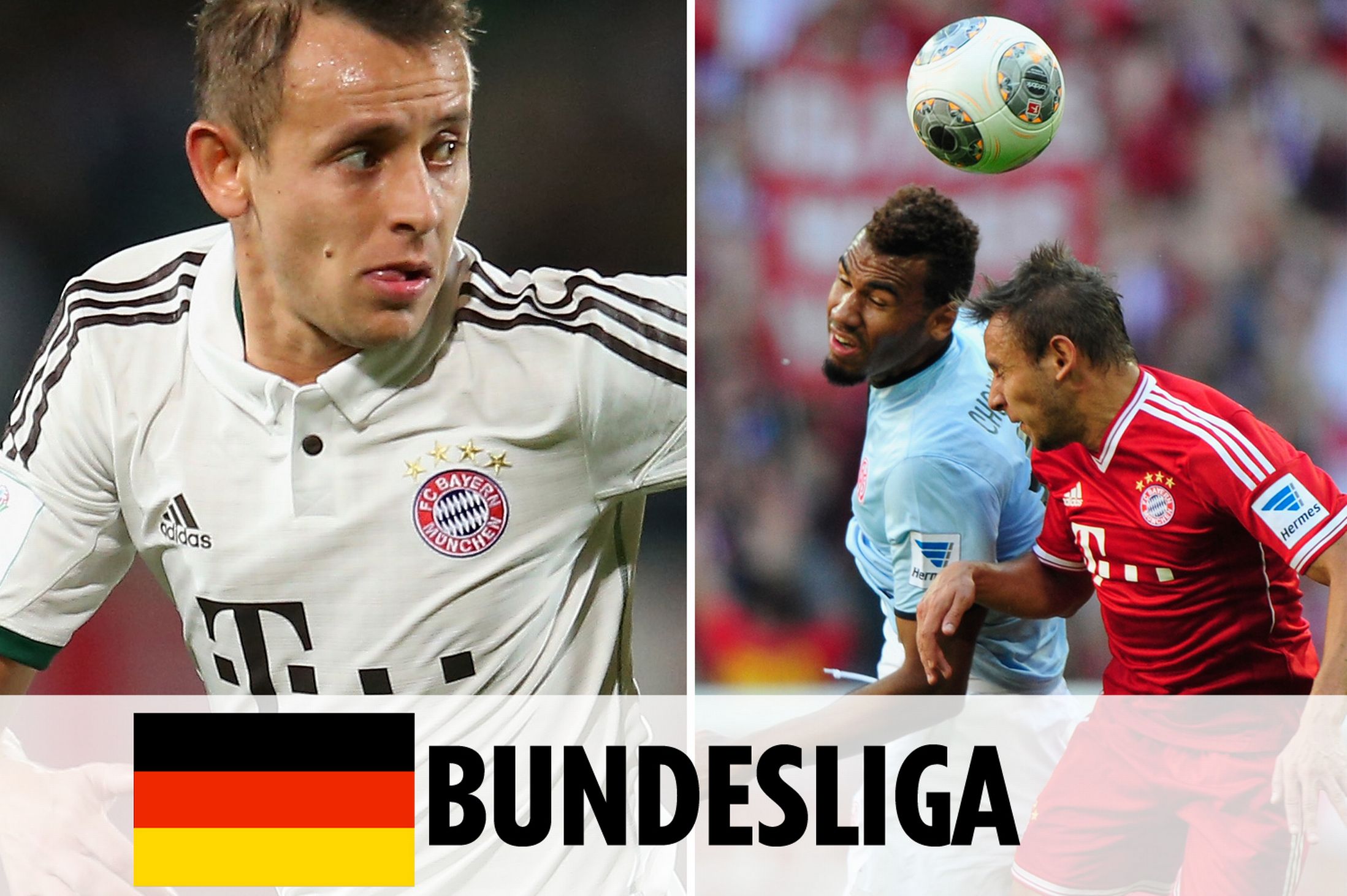 远不放弃的 远不放弃的