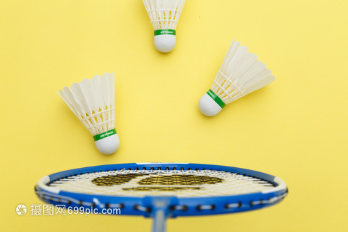 财政限制的 财政限制的